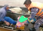 Mayat Bayi Ditemukan Terapung Di Sungai