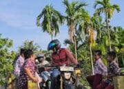 Dilla Hich – MT Jelajahi Sadu Dengan Motor Hingga Dini Hari