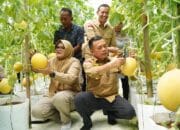 Dillah-Muslimin Dampingi Kunker Gubernur Jambi Di Tanjab Timur