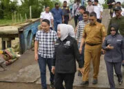 DPRD Tanjabtim Desak Perbaikan Fender Jembatan Muarasabak Dipercepat
